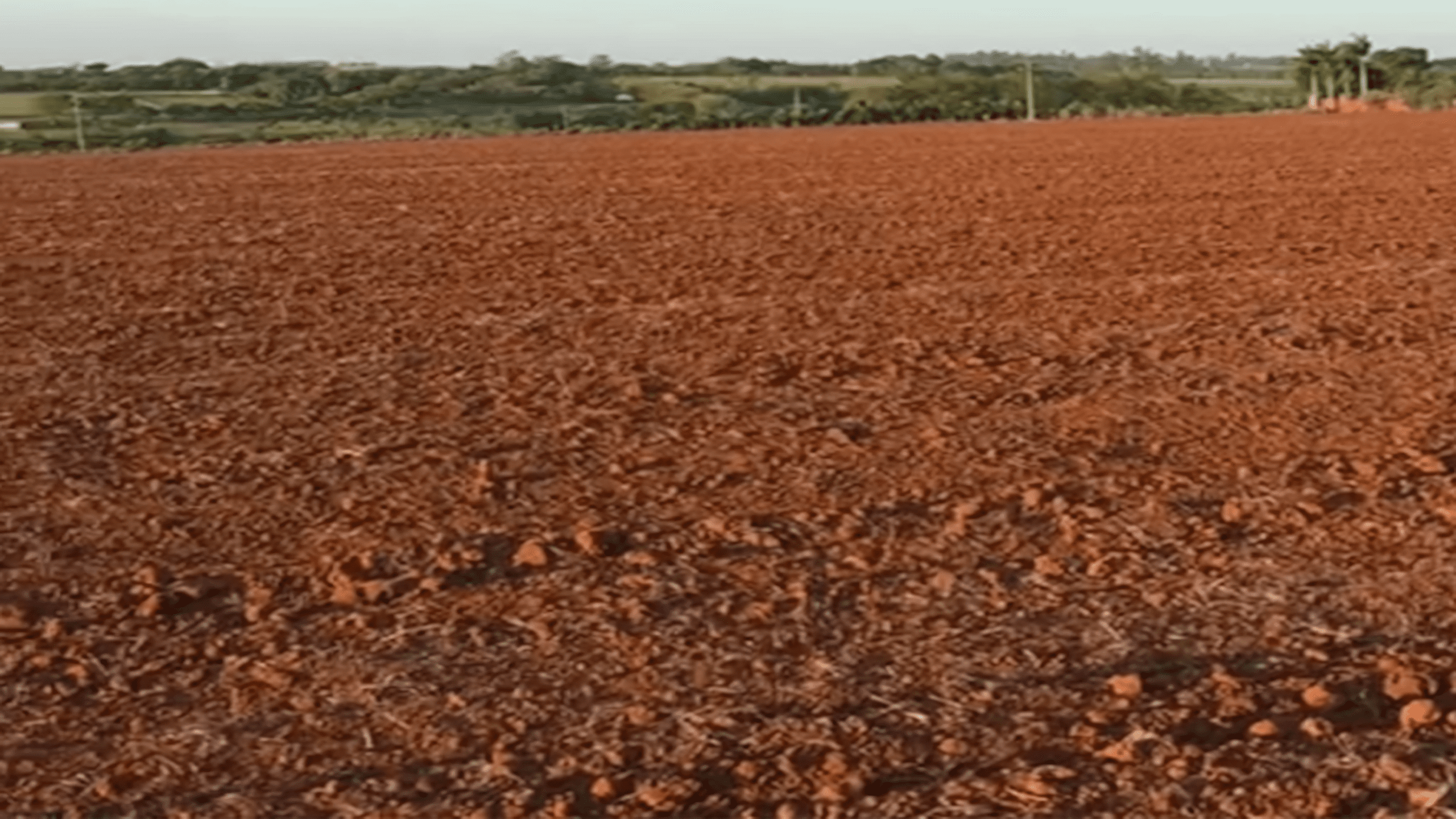 rovaltech.com.br-terreno-barato-em-cajamar (2)