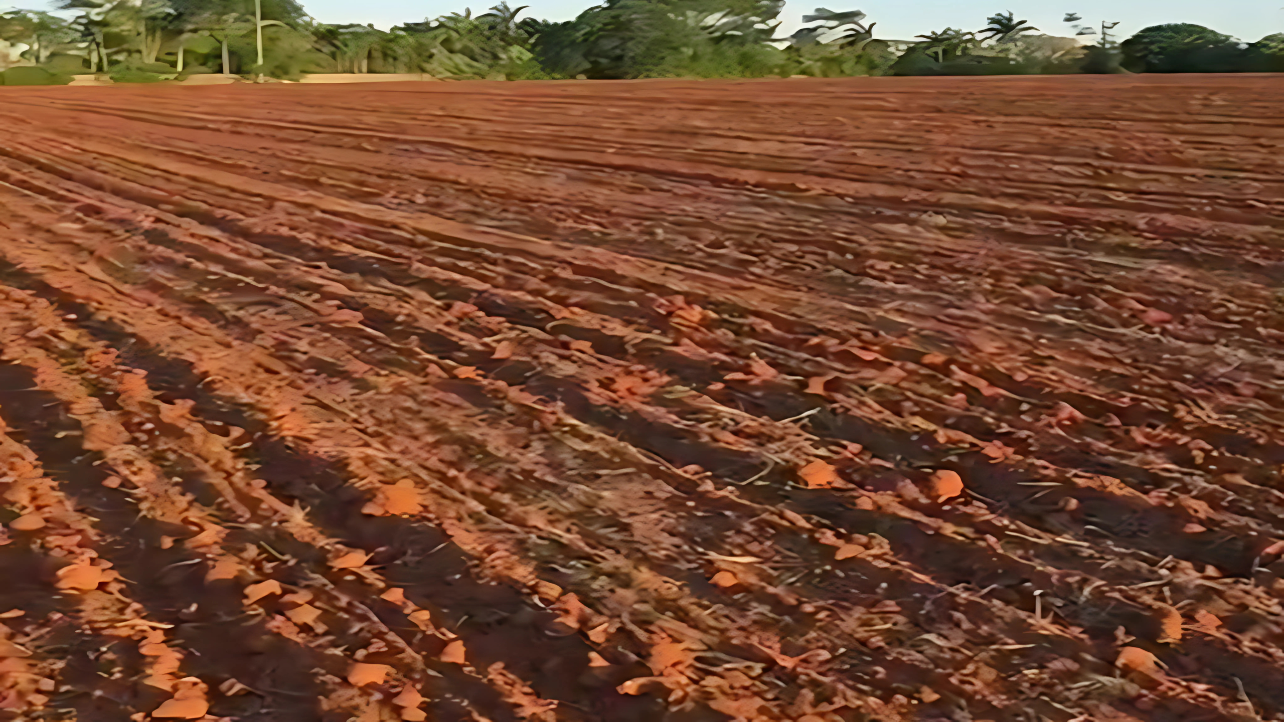 rovaltech.com.br-terreno-barato-em-cajamar (3)